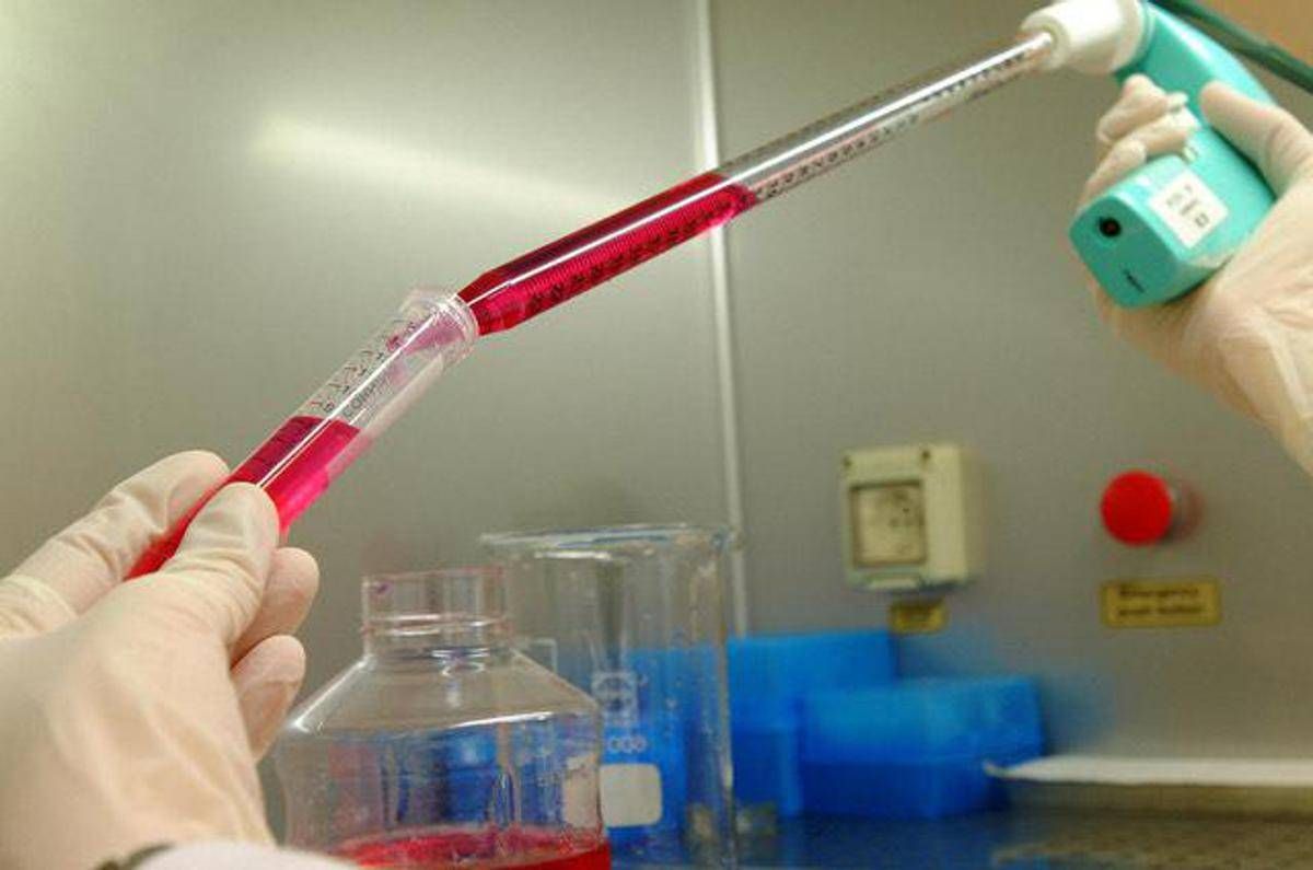 Per Natale da Cambielli 100mila euro a Fondazione Humanitas per la Ricerca - 