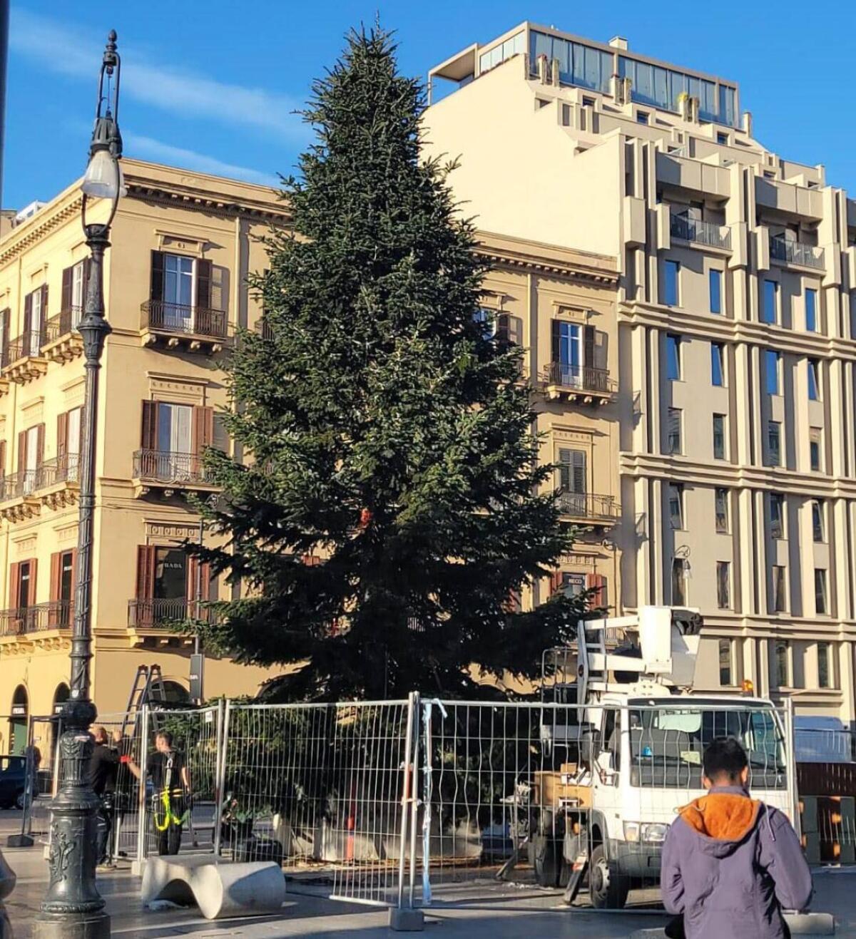 Accensione dell'albero di Natale in piazza Politeama: Comune di Palermo presenta le festività 2023 - 