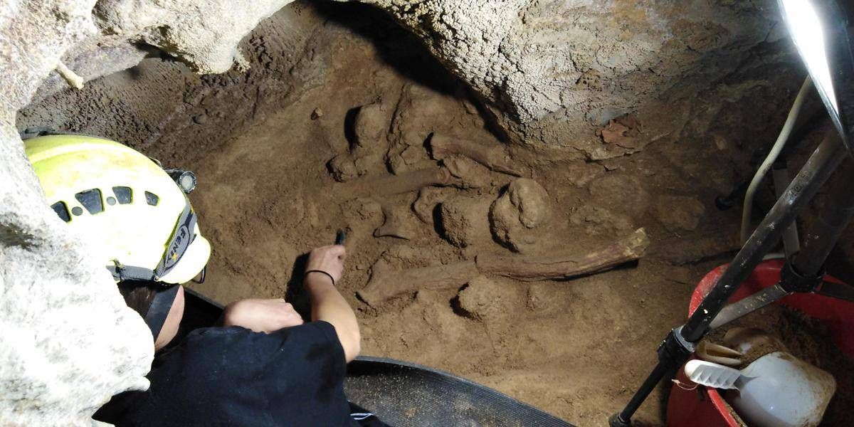 Muciv inaugura a Roma Laboratorio Neanderthal, nuova area espositiva - 