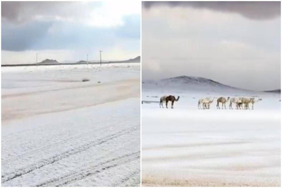 L'Arabia Saudita 'riscopre' la neve, primi fiocchi dopo 30 anni - 
