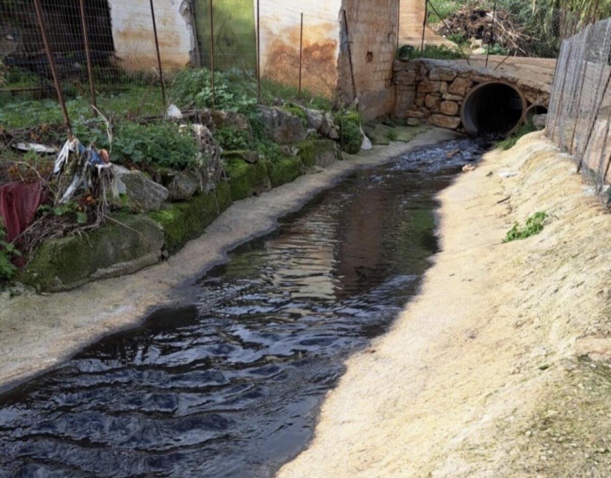 Intervento del Corpo forestale della Regione Siciliana salva l'ecosistema del fiume Eleuterio da inquinamento illecito - 