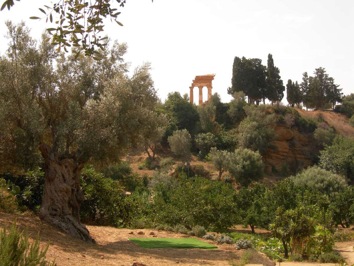 Il giardino nascosto di Agrigento: la Kolymbethra e le curiosità delle masserie - Foto: fab./Wikipedia