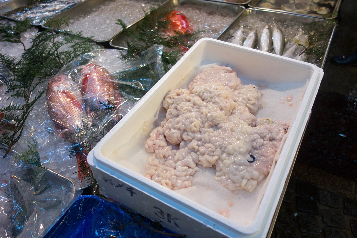 Il segreto rosa del tonno maschio che Palermo frigge da 2000 anni e nessuno osa buttare - Foto: Kent Wang/Wikipedia