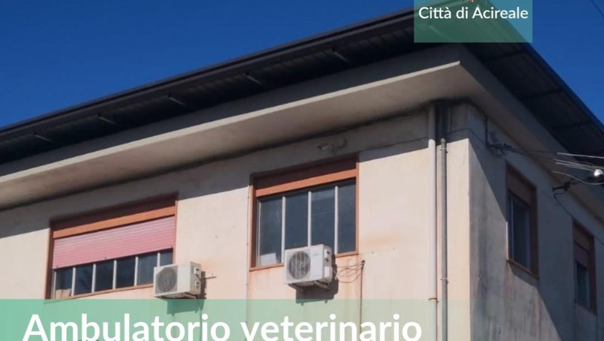 Acireale, annunciati i lavori per il nuovo ambulatorio veterinario - Credit foto Città di Acireale