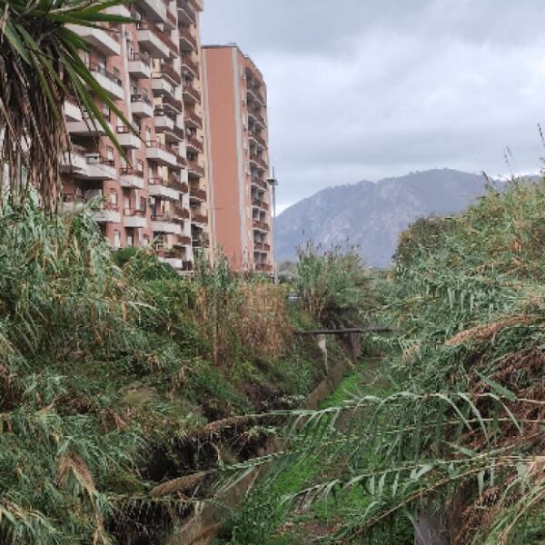 Chiusura della circolazione in via Ernesto Basile per lavori del Comune di Palermo sull'eliminazione degli scarichi fognari
