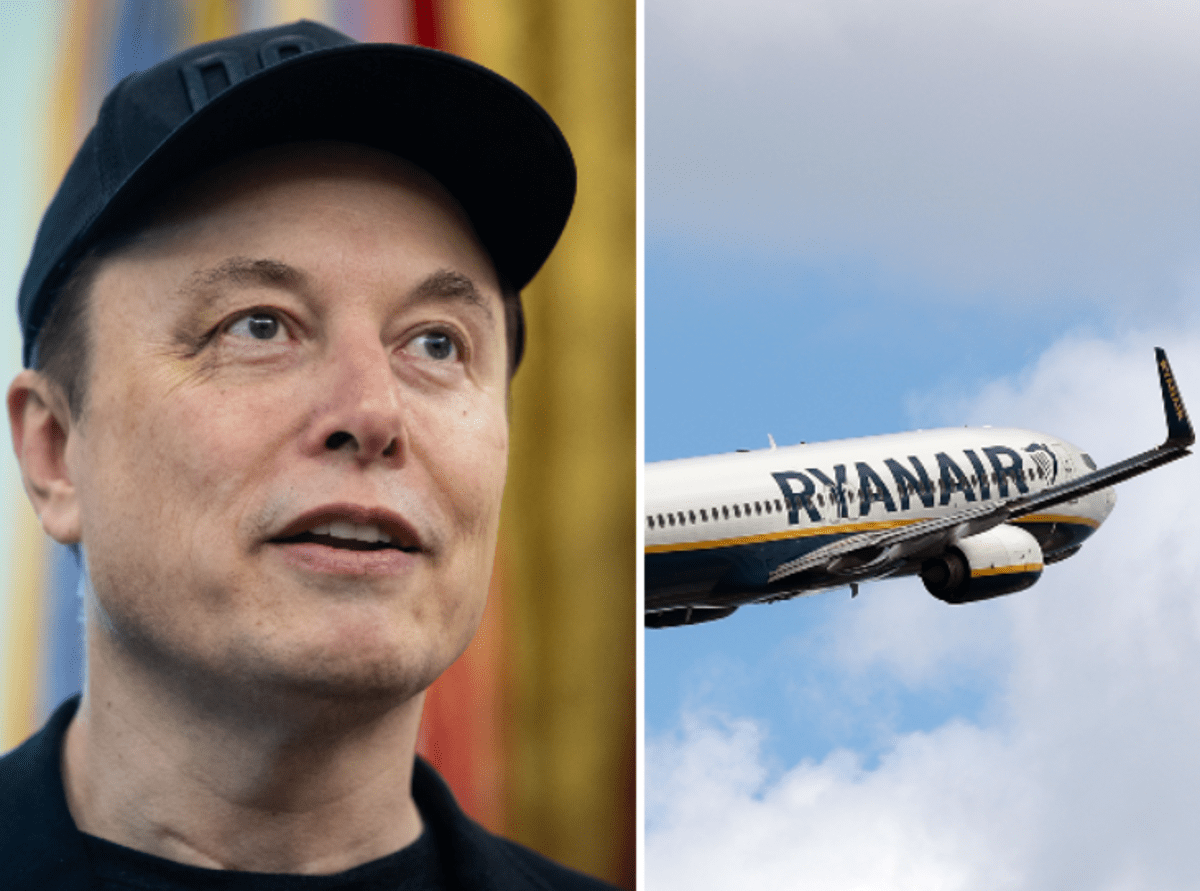 Musk provoca Ryanair: "Quanto mi può costare comprarti?". E lancia il sondaggio su X - 