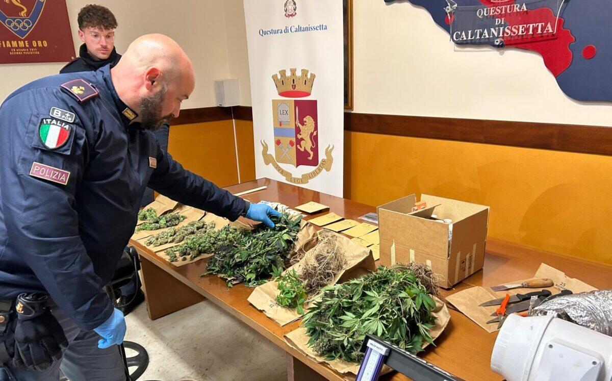 Arrestato a Caltanissetta un trentenne per coltivazione e spaccio di marijuana nella sua abitazione