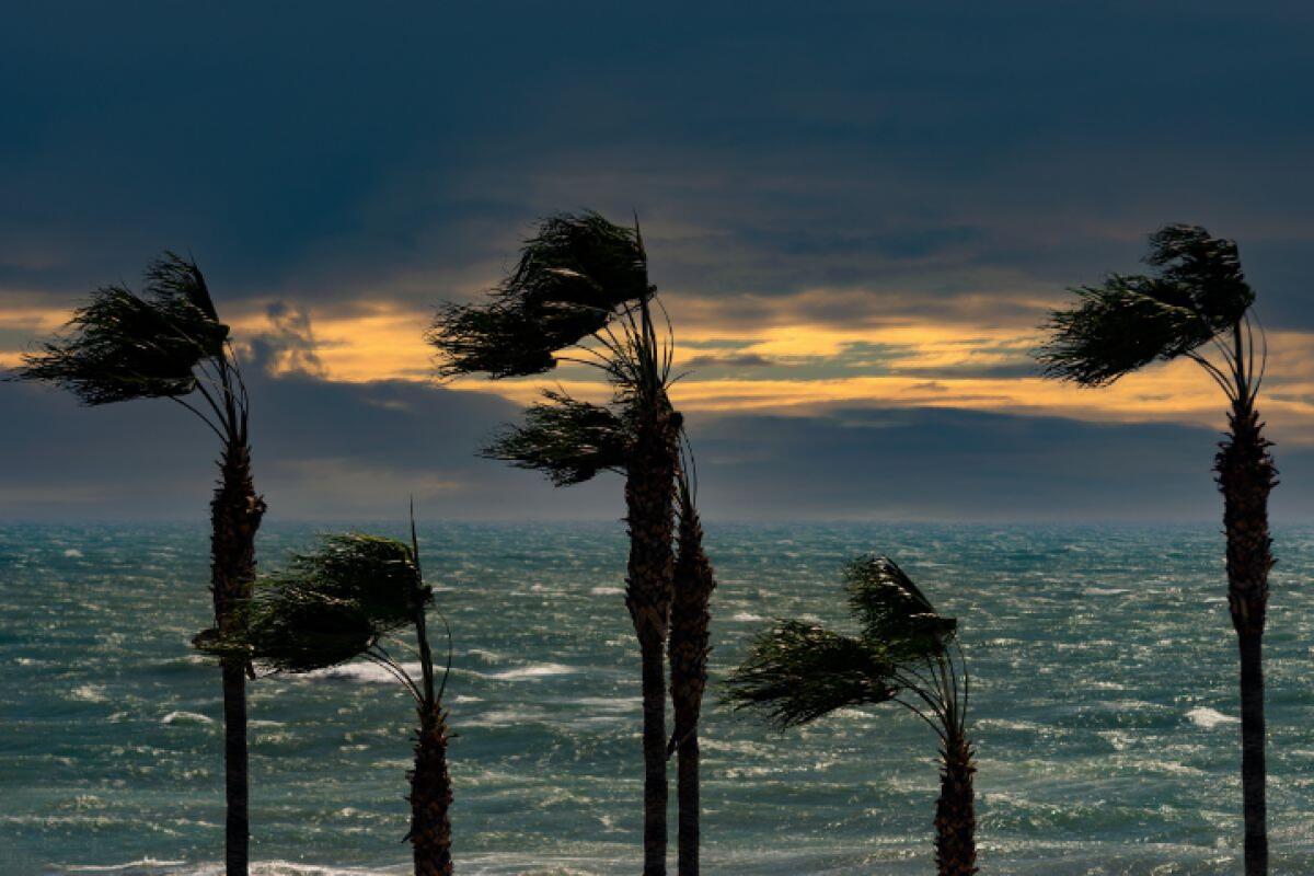 Norme Comportamentali del Comune di Messina per Mitigare i Rischi di Vento e Mareggiate - 