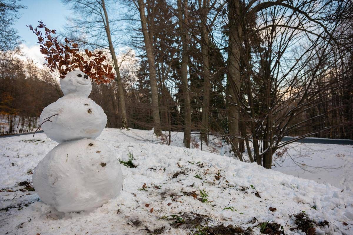 Perché si chiamano giorni della merla? Storia e mito dei giorni più freddi di gennaio - 