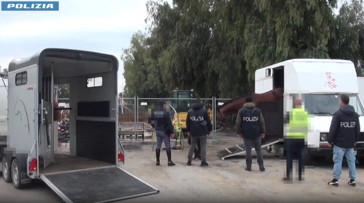 Catania, la Polizia smantella una corsa clandestina di cavalli e denuncia quindici persone per maltrattamento animale