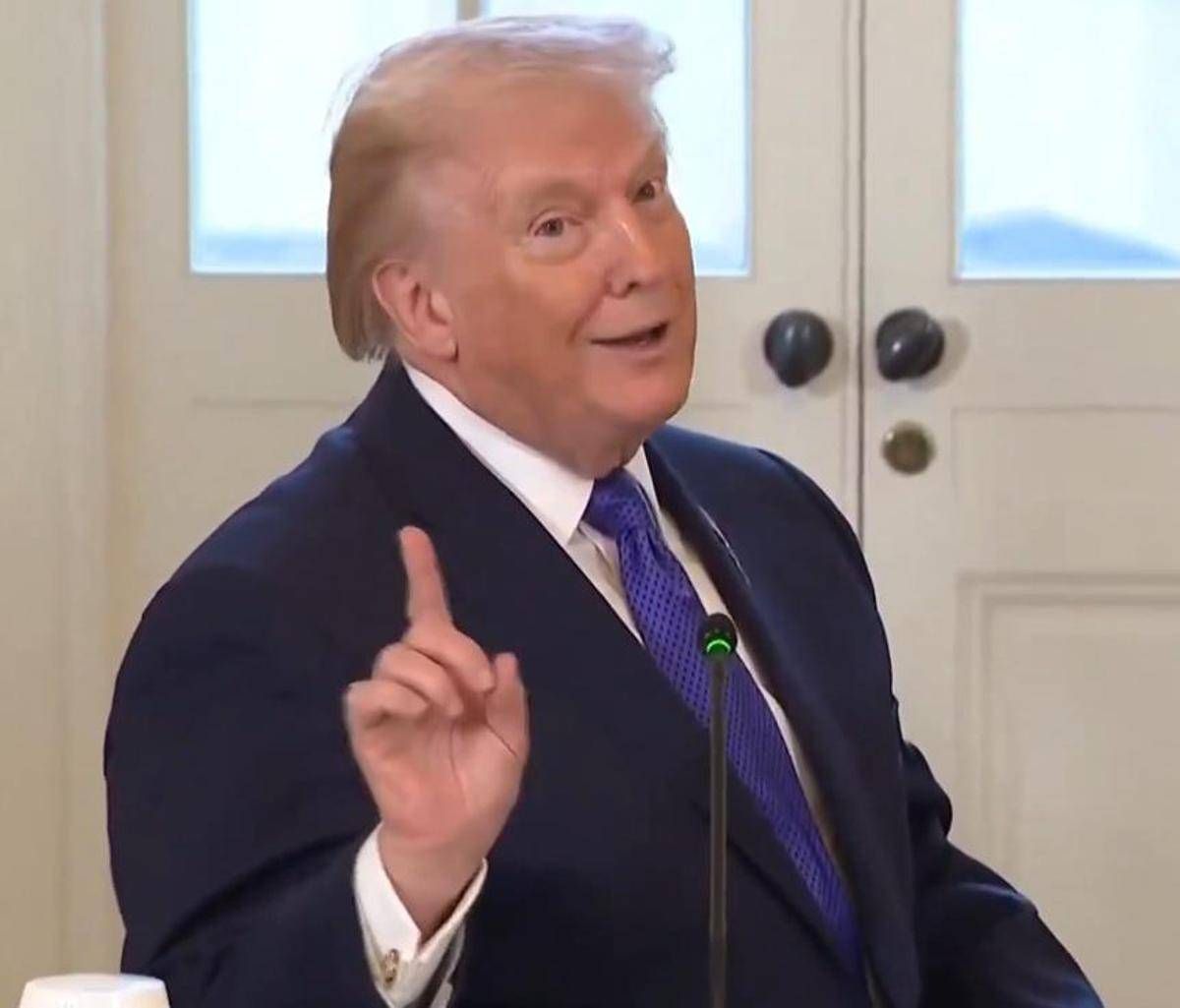 Minneapolis, la risposta di Trump: "Consegnateci immigrati illegali" - 