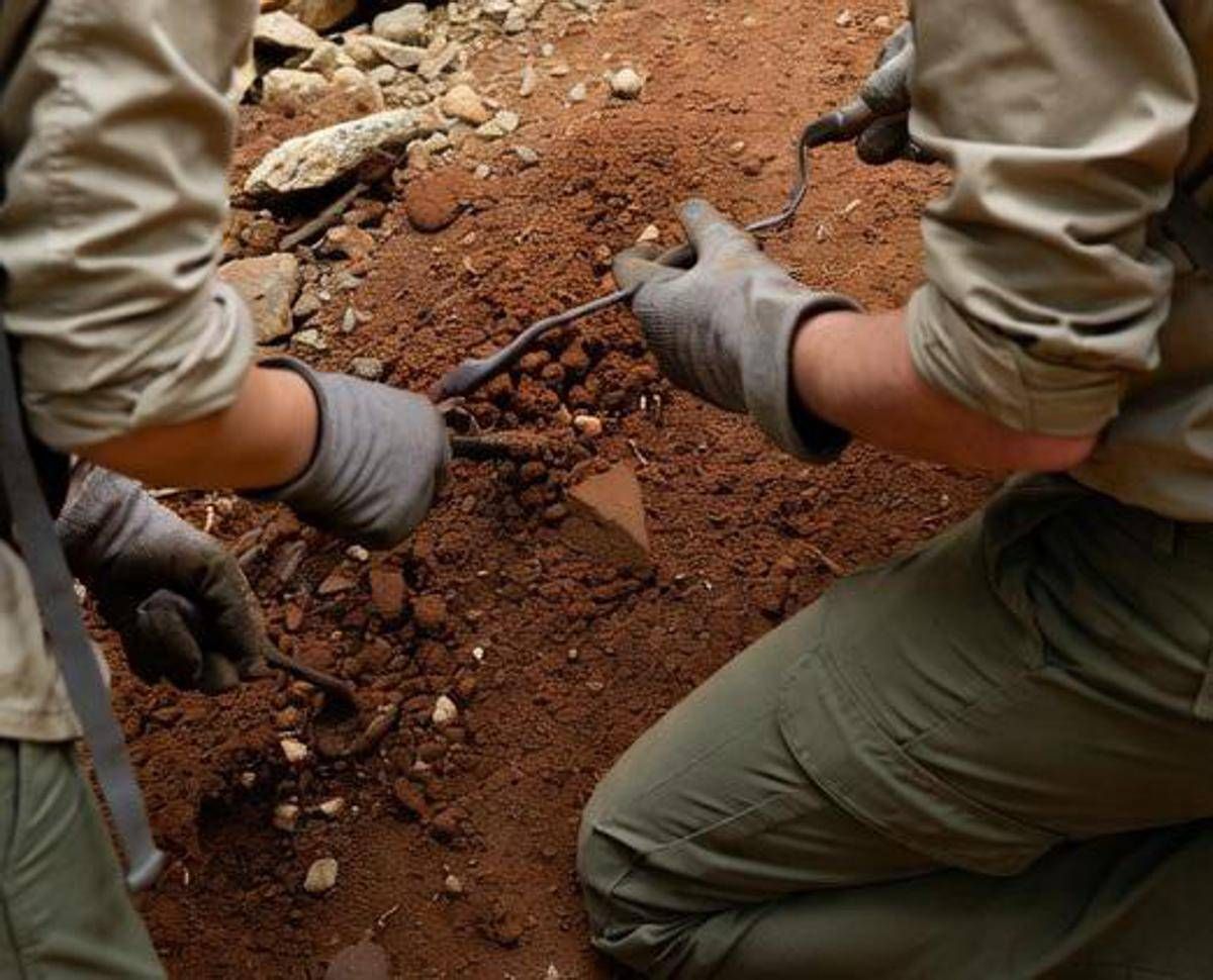 L'antenato dell'uomo camminava 7 milioni di anni fa, la scoperta che sposta i primi passi - 