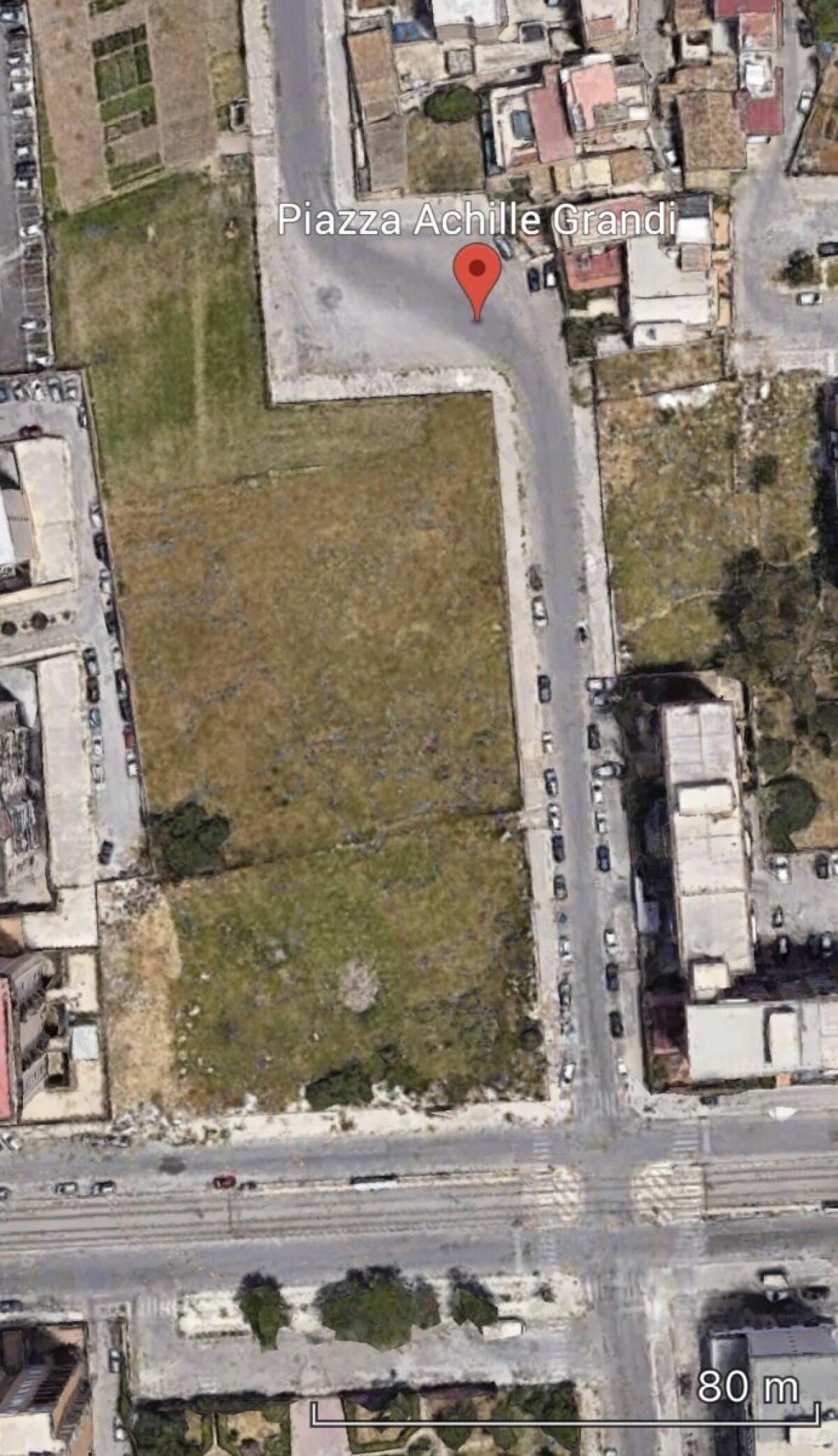 Riorganizzazione degli spazi pubblici: il Comune di Palermo avvia nuove aree attrezzate per cani in Piazza Achille Grandi. - 