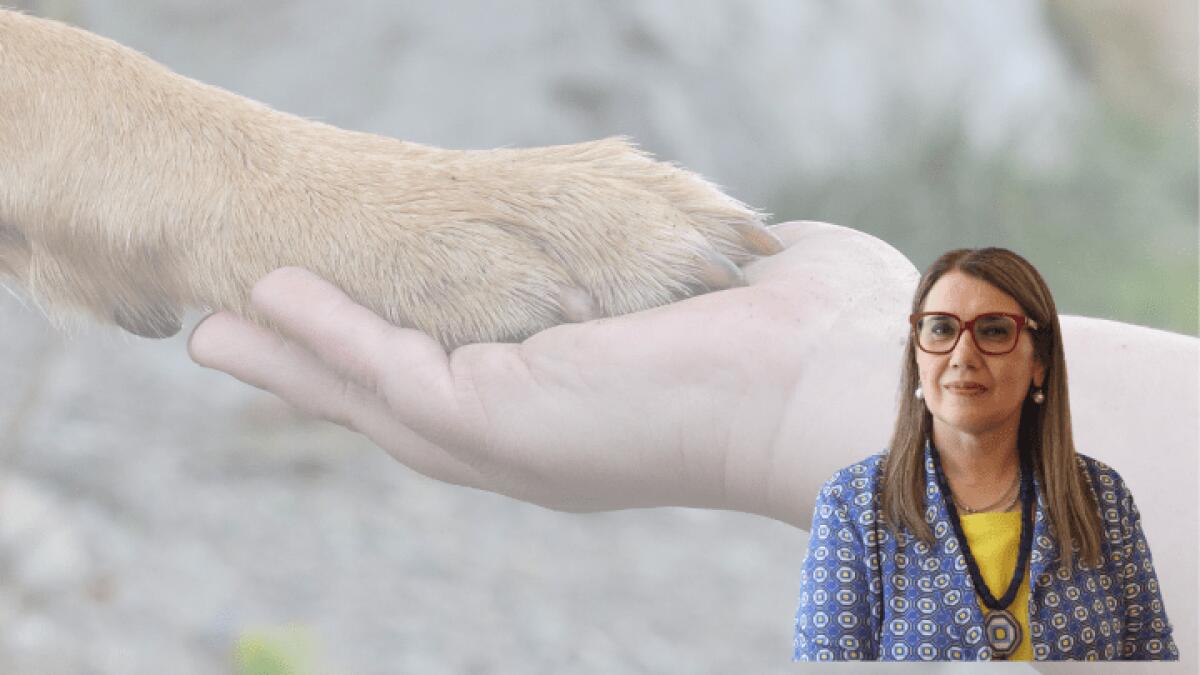 Riaperti i termini per l'iscrizione all'elenco dei volontari animalisti del Comune di Caltanissetta - 