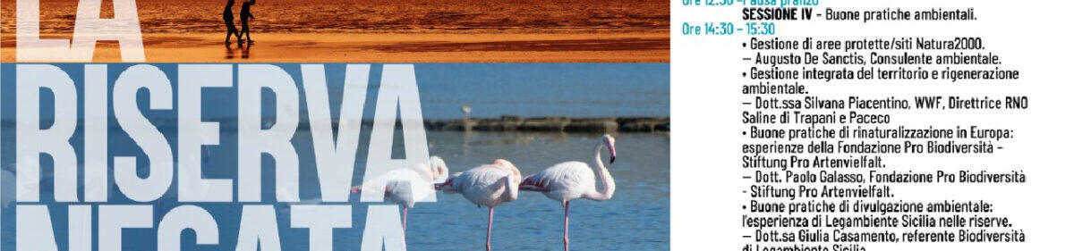 Convegno al Parco Archeologico di Lilibeo: Focus sui Parchi Archeologici Siciliani e la Tutela dello Stagnone di Marsala - 