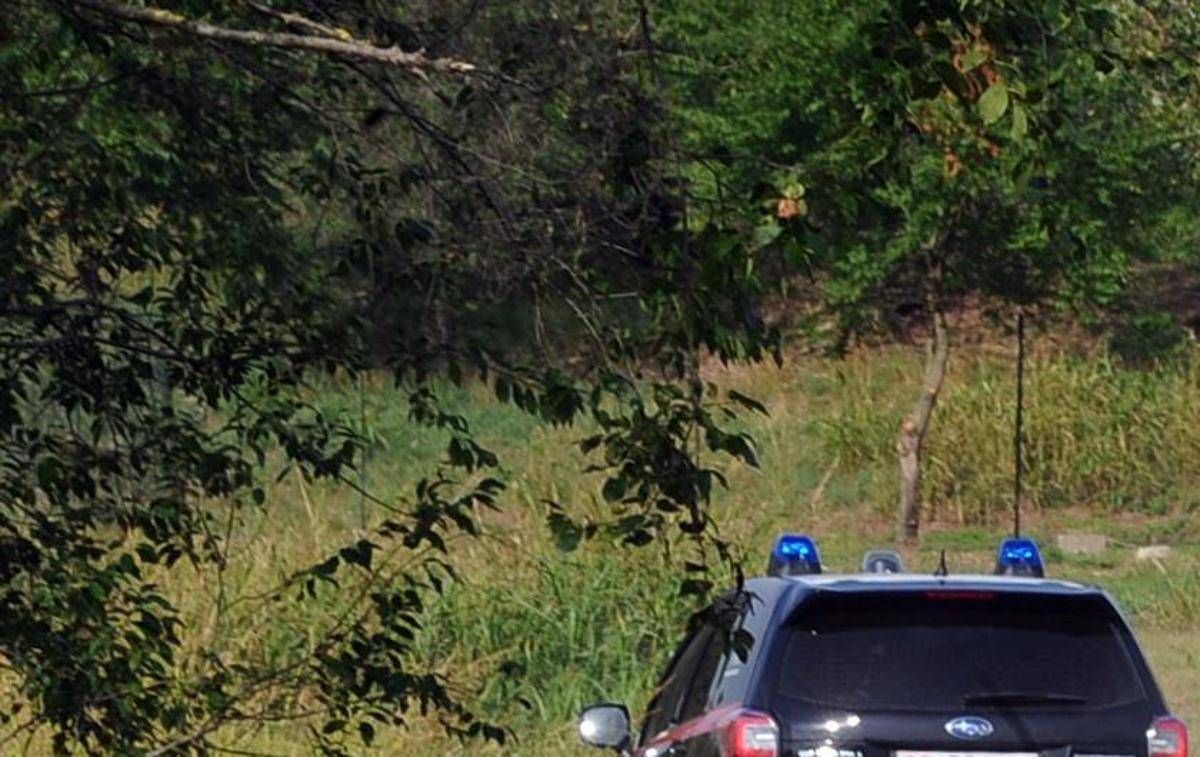Messina, trovati tre cadaveri crivellati di colpi nel bosco di Montagnareale: indagini in corso - 
