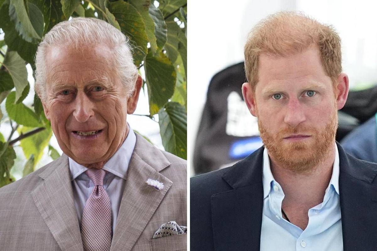 Re Carlo e Harry, nessun incontro a Londra alla fine del mese - 