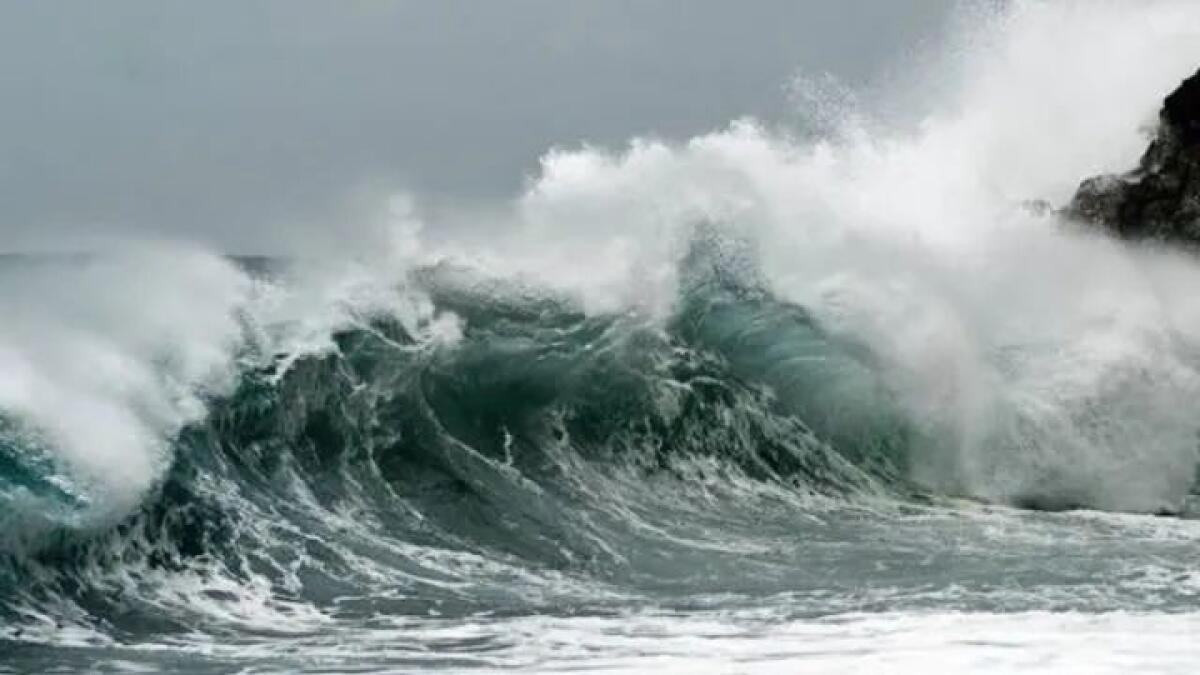 Ricognizione dei Danni nel Comune di Messina dopo il Ciclone "Harry" - 