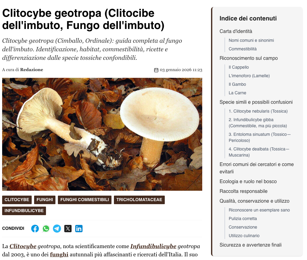 TOC su Desktop nella colonna di destra