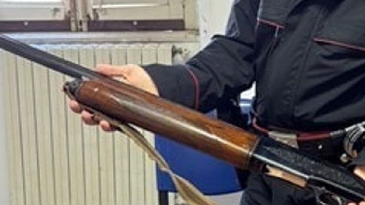 Fucile nascosto sotto il fieno: denunciati due fratelli a Ramacca - Credit Foto Carabinieri di Ramacca