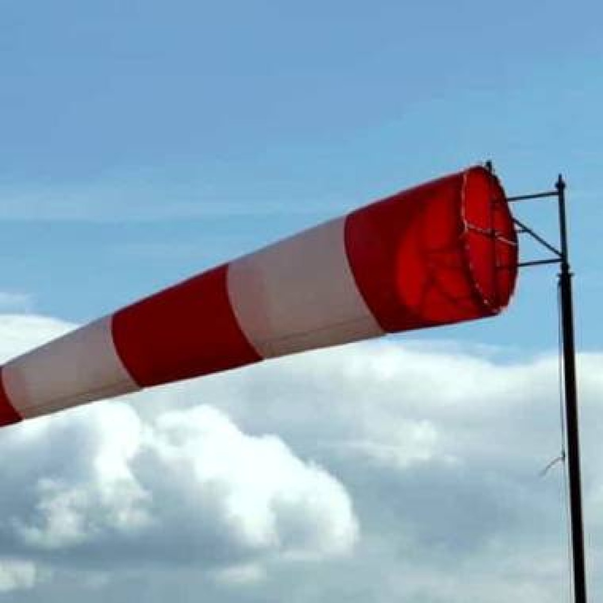 Allerta vento a Palermo: Protezione civile avverte per raffiche dall'11 al 13 febbraio - Credit Foto Comune di Palermo