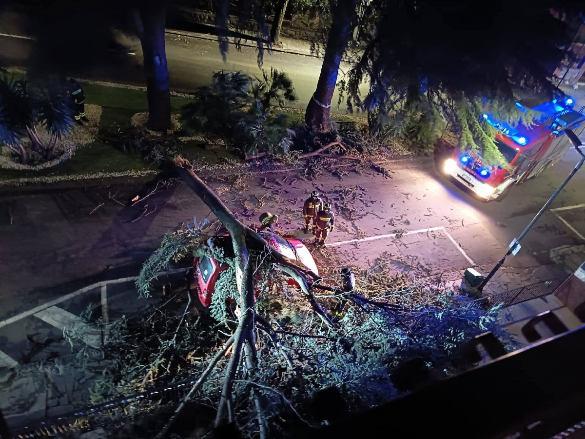 Pedara dopo il forte vento: il Comune attiva squadre per rimuovere alberi e ripristinare la luce - 