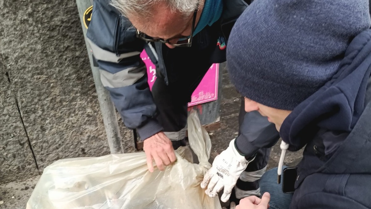 Catania, 39 sanzionati per abbandono rifiuti dopo ispezione dei sacchi - 