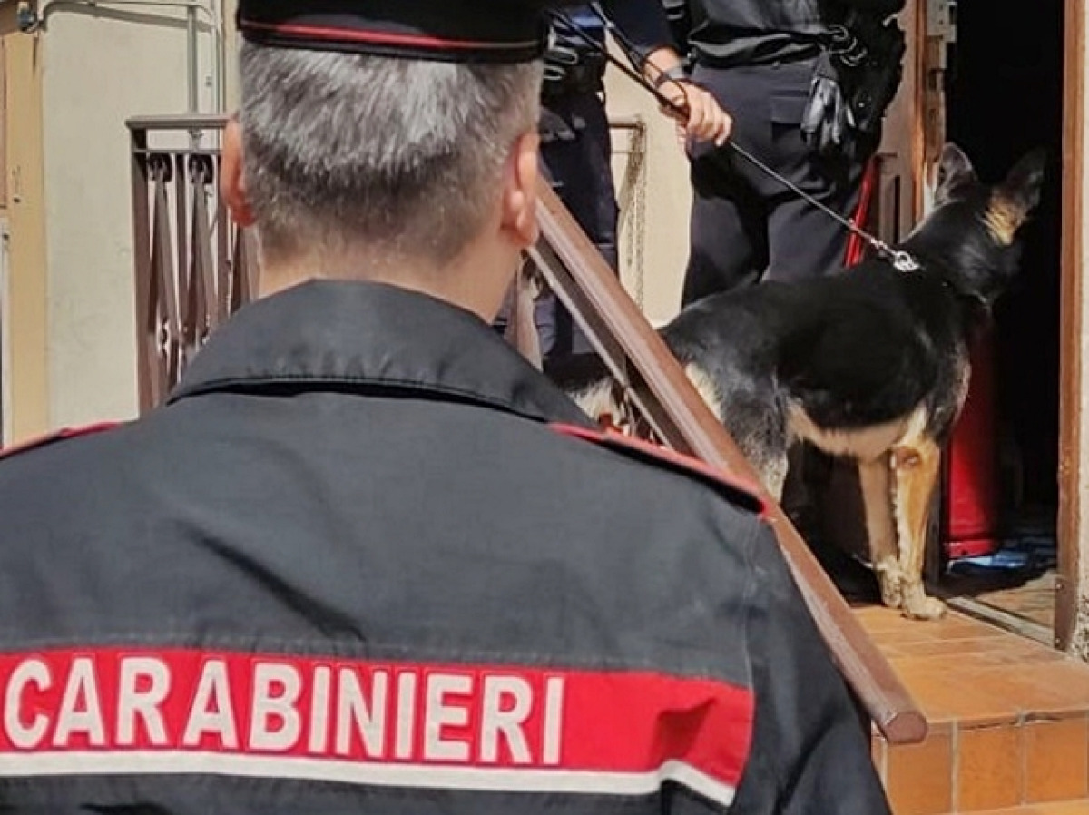 Catania, Ramacca: denunciato 31enne trovato con coltello e marijuana durante controlli a Palagonia - 