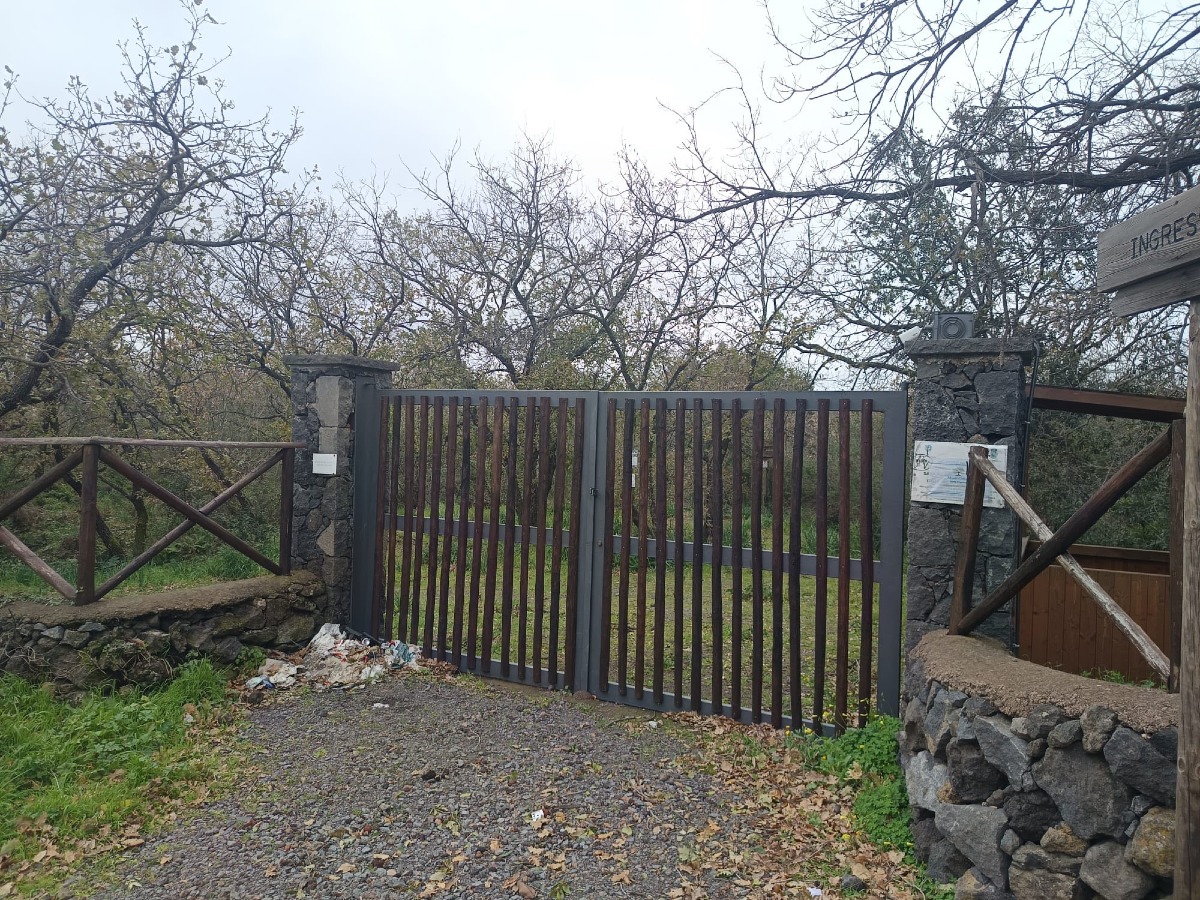 Mascalucia affida la gestione del Bosco Monte Ceraulo: bando per il Terzo Settore - Credit Foto Amici del Bosco Ceraulo