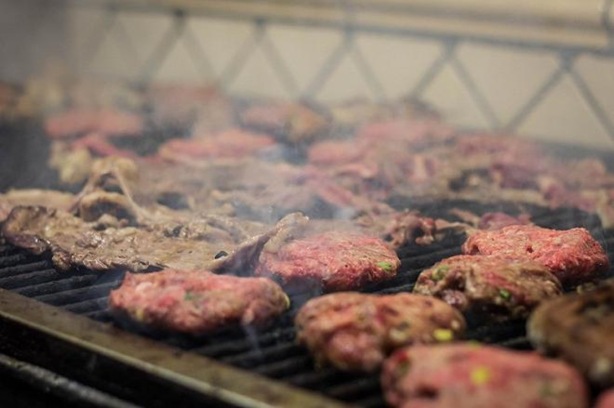 Catania insorge contro la legge AC 48: divieto di macellazione dei cavalli mette a rischio tradizioni e filiere - 