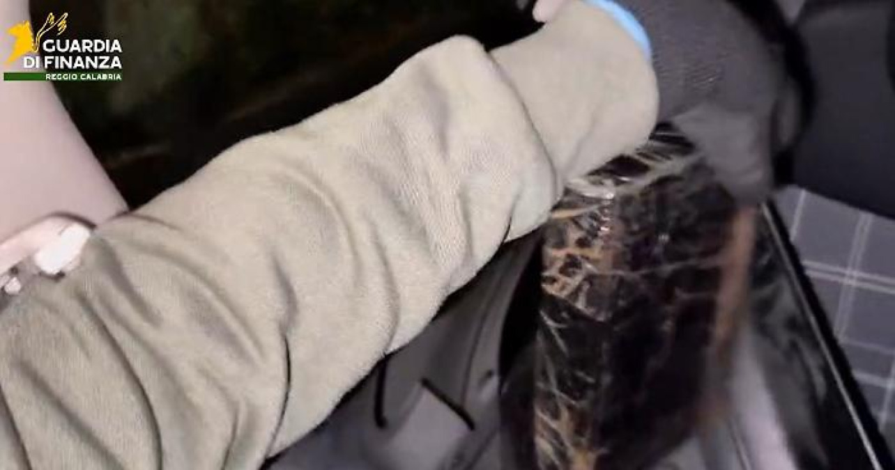 Bloccati a Villa San Giovanni due corrieri con quattro chili di cocaina diretti a Messina - 