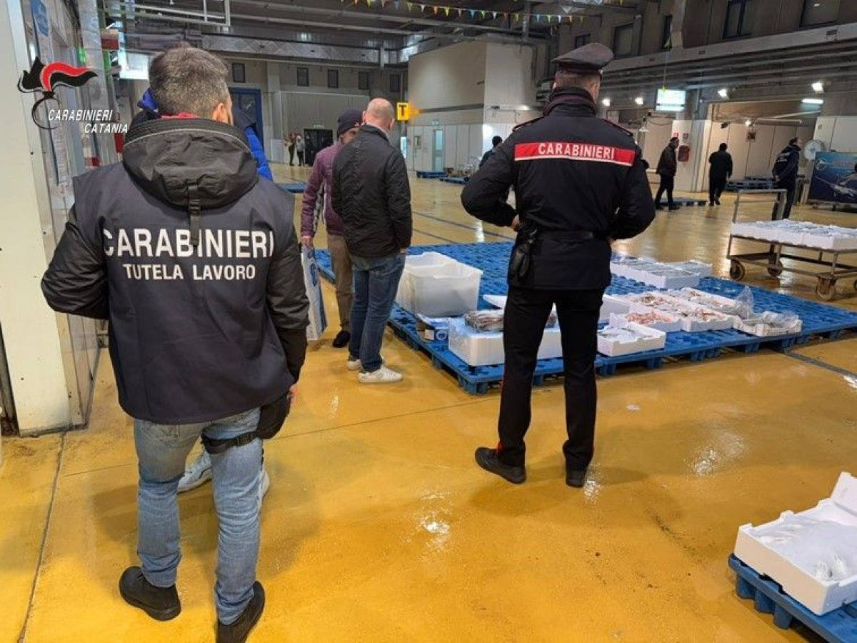 MAAS Catania: sequestrate 4,5 tonnellate di ortofrutta per mancanza di tracciabilità - 