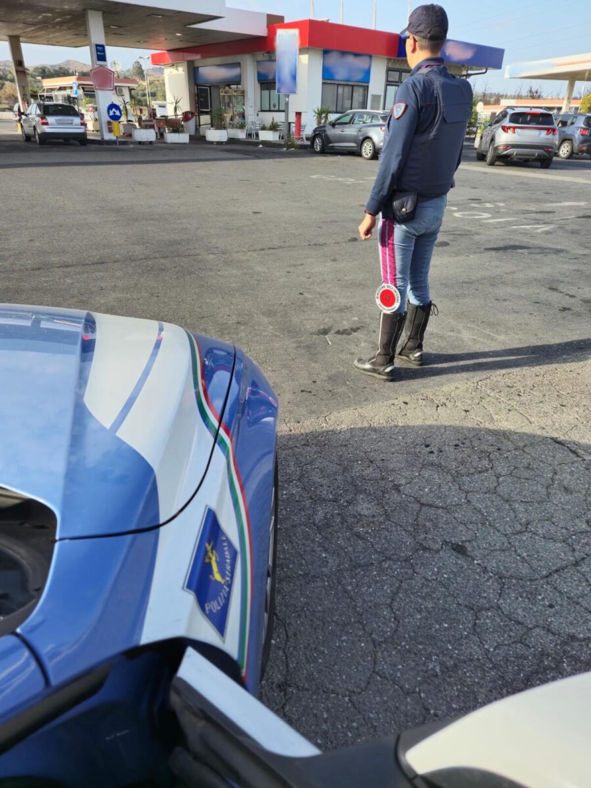 Polizia di Catania soccorre 10 vitellini in condizioni di trasporto inadeguate nel cofano di un furgone