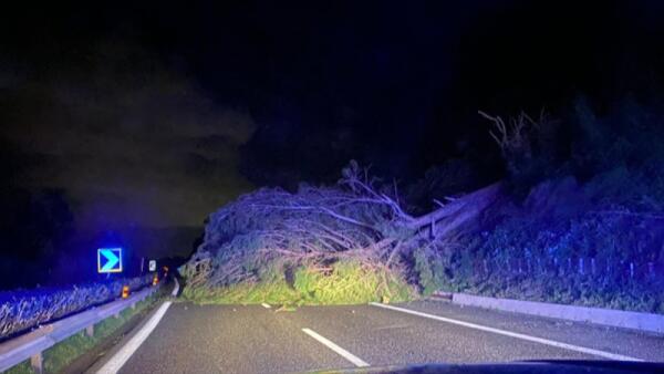 Tempesta notturna tra Catania e Messina: raffiche oltre 100 km/h, due pini cadono sulla A18 e bloccano il tratto Giardini–Giarre