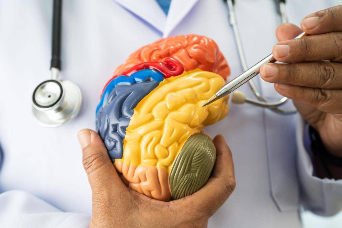 Malattie neuromuscolari e miastenia grave, nasce academyX per l'alta formazione - 