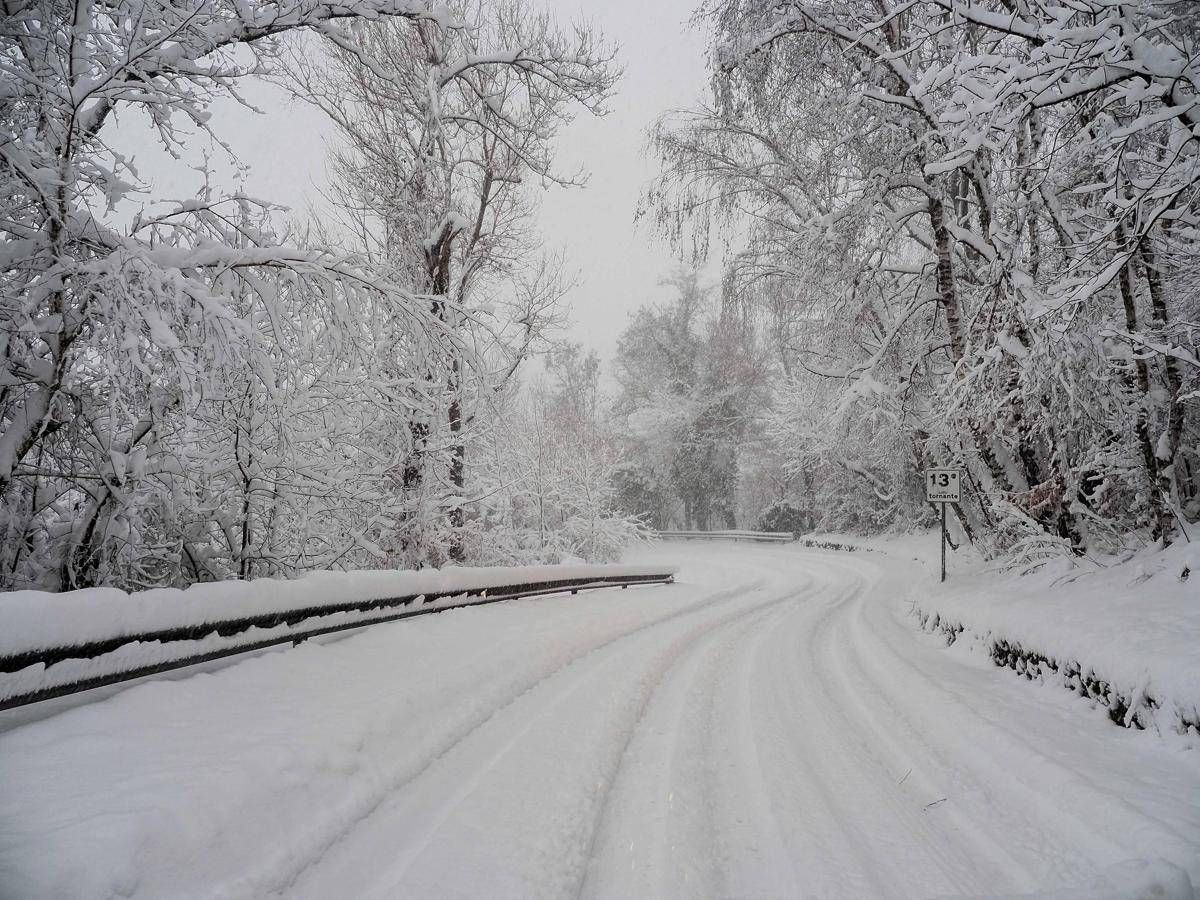 Bimbo lasciato a piedi dal bus, autista chiede scusa. Genitori: "La questione è chiusa" - 