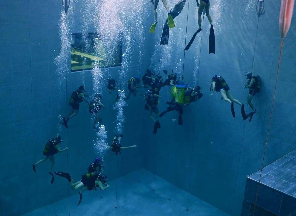 La scienza italiana svela i segreti del cuore sott'acqua - 