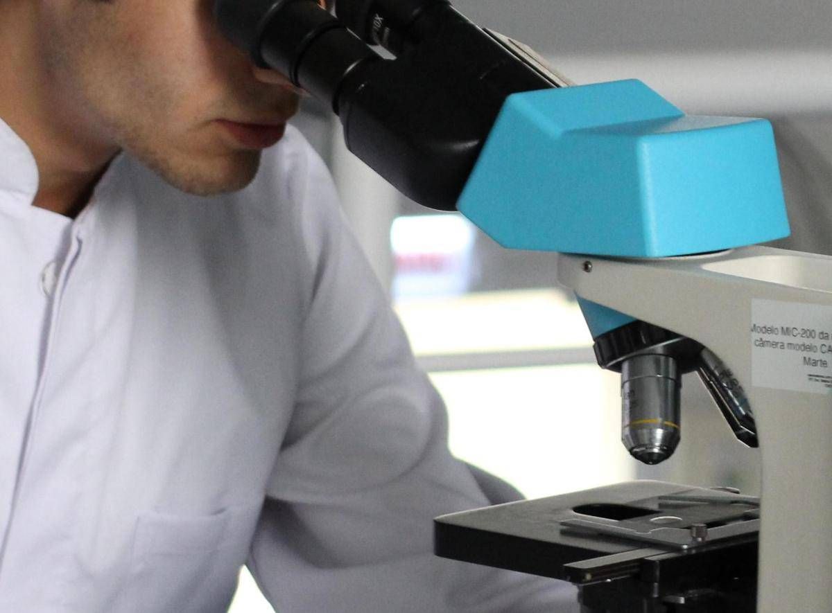 Romania, scoperto un batterio di 5mila anni fa resistente a 10 antibiotici moderni - 