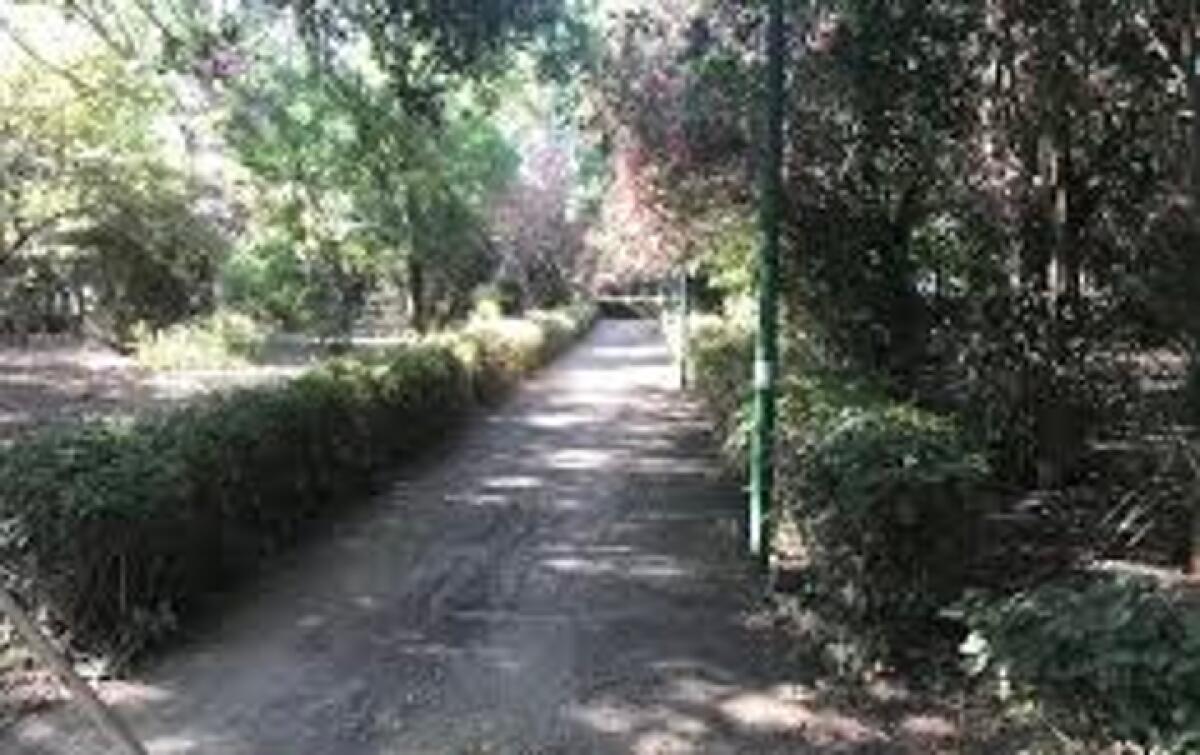 Villa Sabin chiusa temporaneamente dal Comune di Messina per motivi precauzionali - 