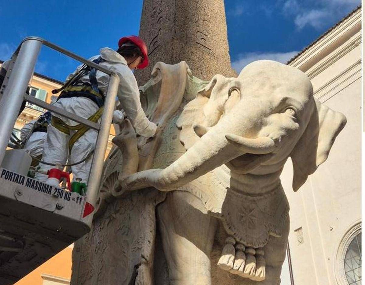 Roma, Elefante di Bernini restaurato dopo distacco della zanna - 