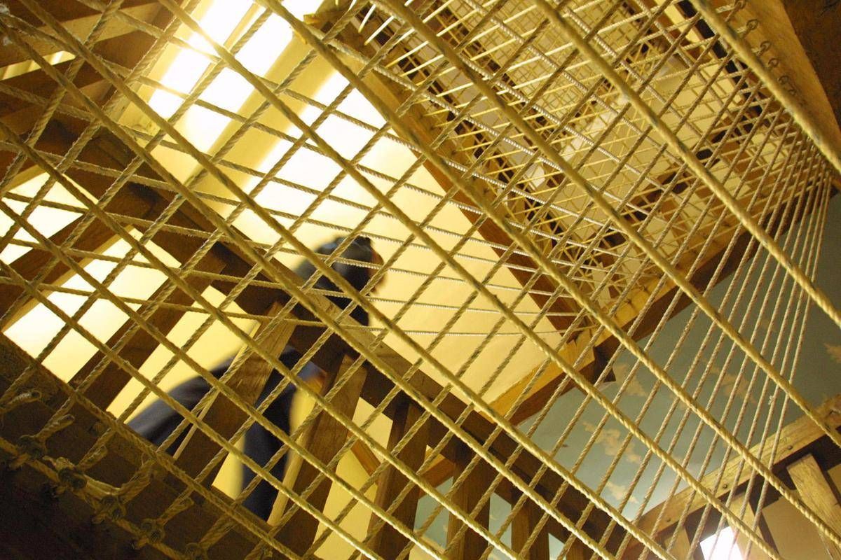 Salerno, la denuncia: l'omicida del panettiere di Sarno si fotografa in cella con il fratello - 