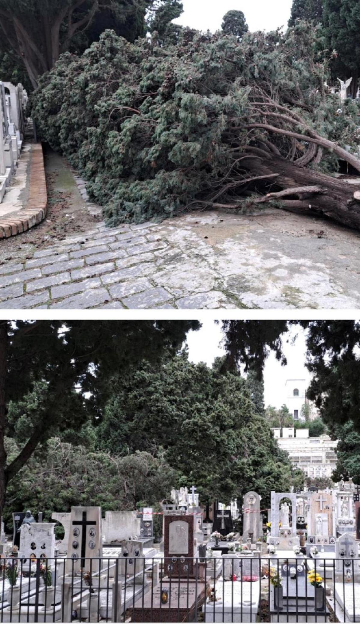 Interventi di manutenzione al Cimitero Centrale del Comune di Messina: i risultati dei recenti sopralluoghi - 