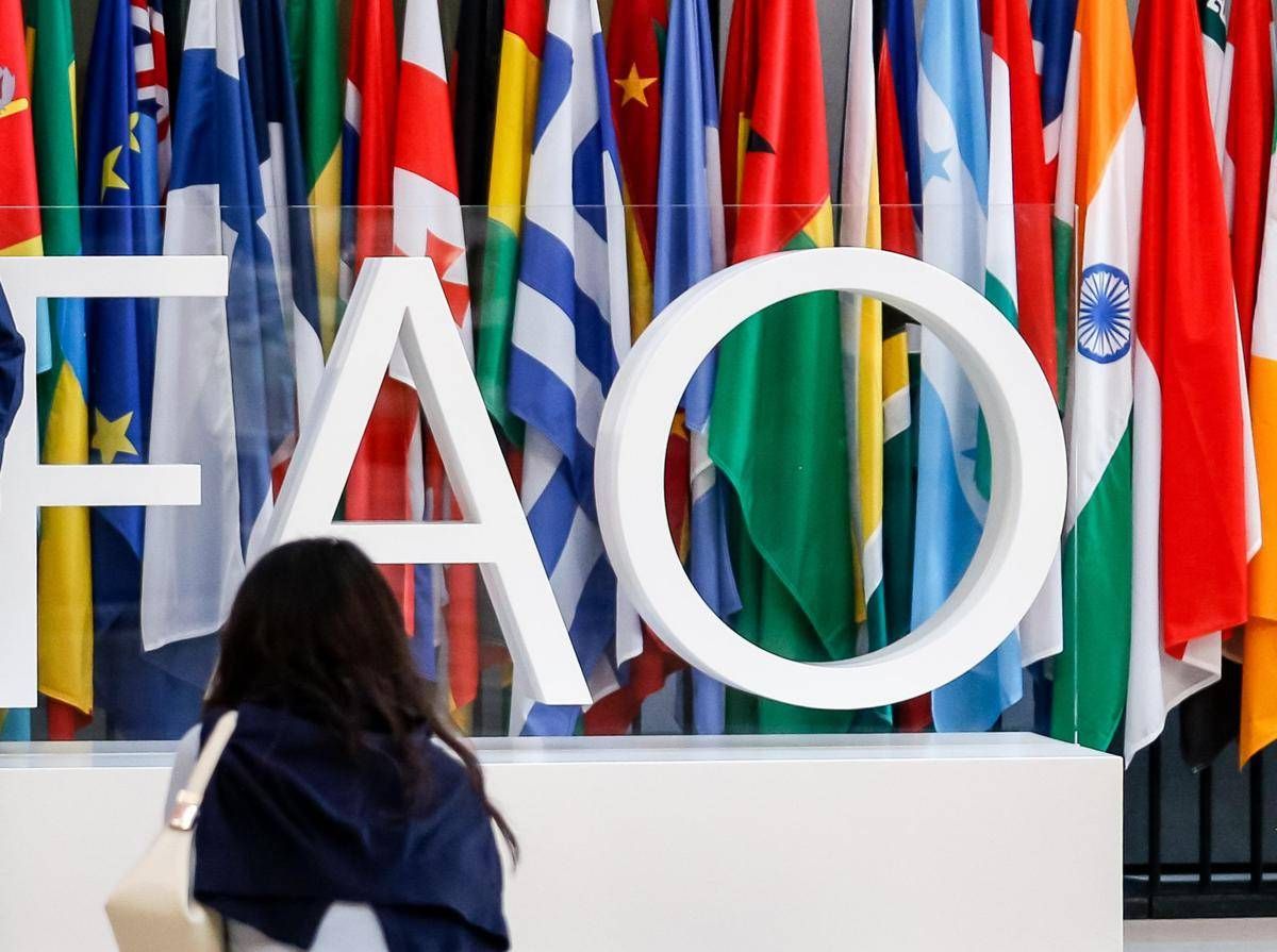 Fao, Tajani: "Italia candida Maurizio Martina alla guida" - 