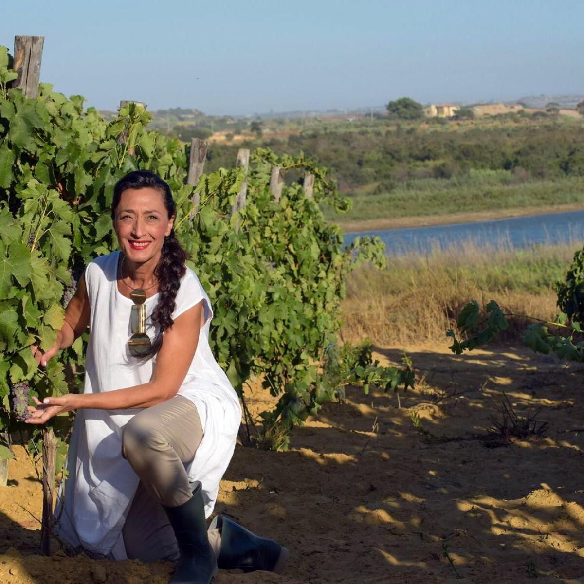 Assovini Sicilia: Casa Grazia e il Futuro della Biodiversità nel Vigneto Siciliano - 