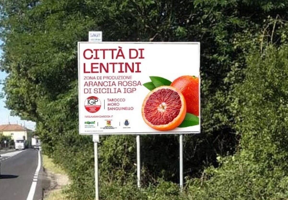 Felici Sogni di Gusto: La Celebrazione della Tutela Arancia Rossa a Lentini - 