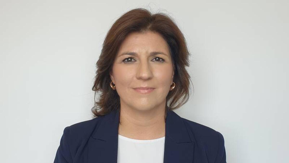 Risanamento finanziario del Comune di Palermo: risultati positivi nella gestione di Bilancio secondo l'assessore Alaimo - 