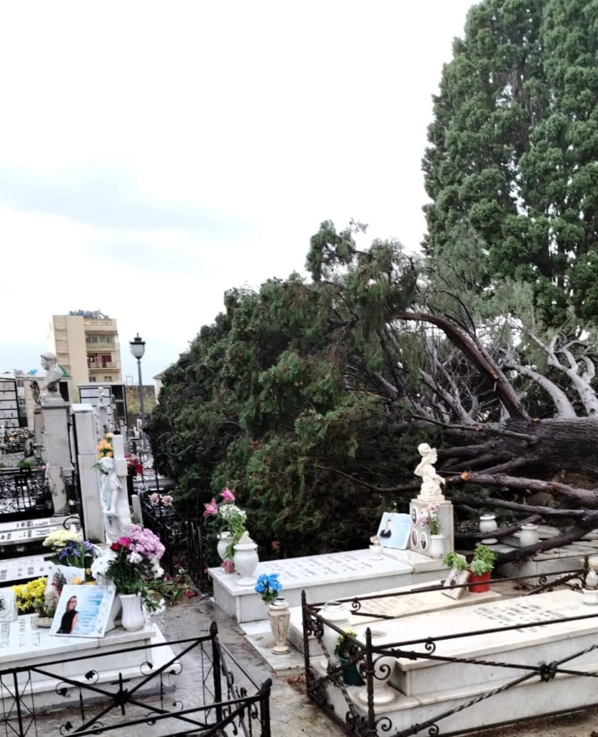 Proroga della Chiusura del Gran Camposanto e dei Cimiteri di Giampilieri nel Comune di Messina - 