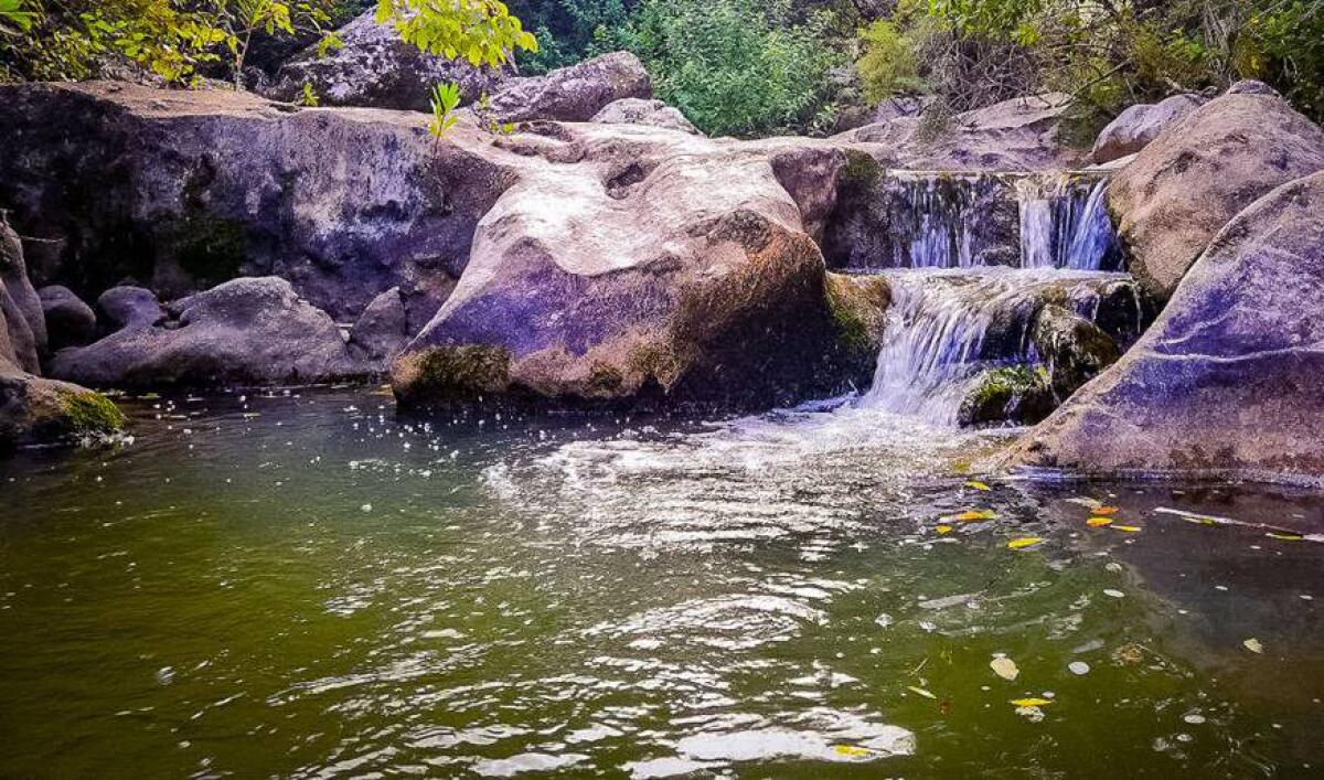 Il Comune di Palermo riporta l'acqua del fiume Oreto nel sistema idrico dopo 20 anni di assenza - 