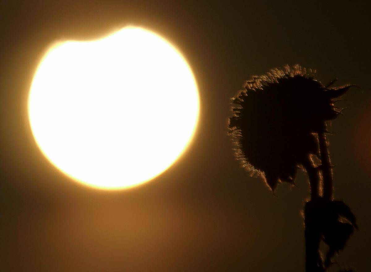 Eclissi solare parziale oggi 17 febbraio, dove si vede e a che ora - 