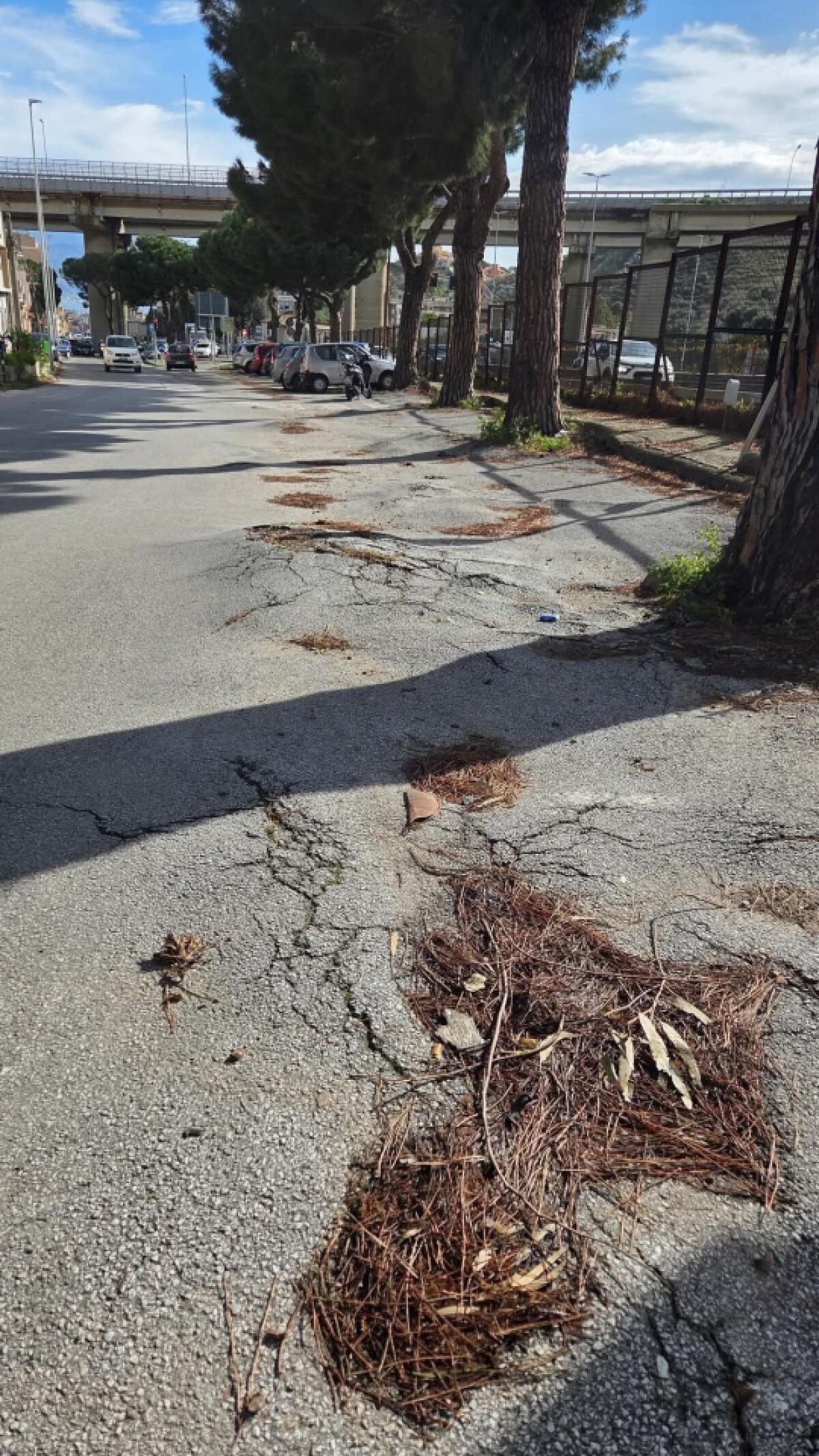 Interventi del Comune di Messina per la messa in sicurezza del manto stradale e rimozione di alberi pericolanti - 